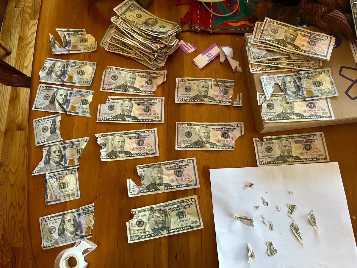 Perro Devora $4,000 en Efectivo, lo que hicieron sus dueños te sorprenderá