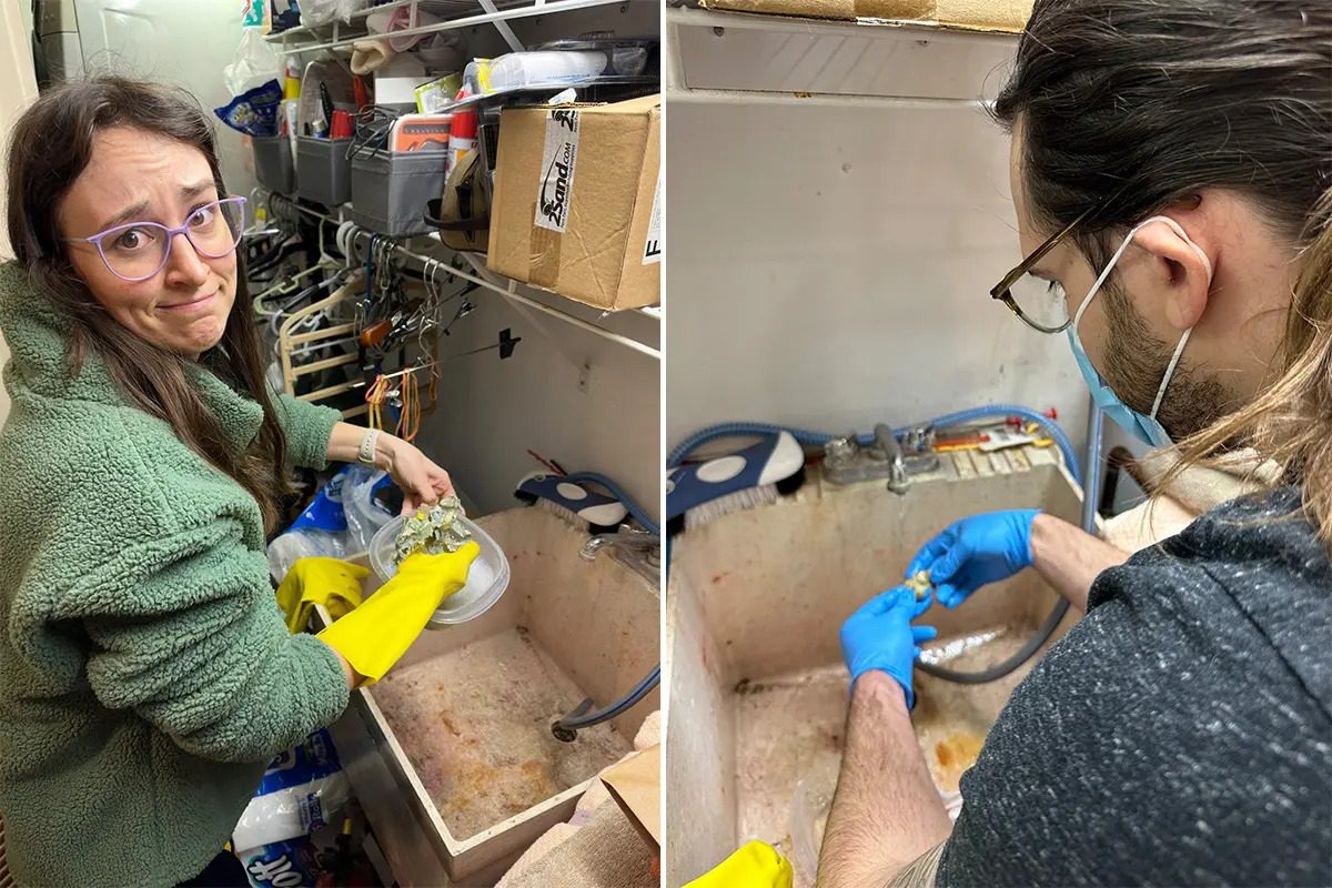 Perro Devora $4,000 en Efectivo, lo que hicieron sus dueños te sorprenderá