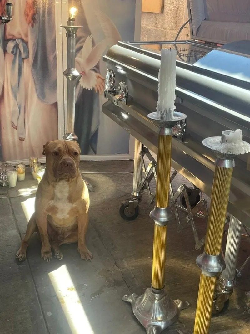 Roko y Chema: Una Amistad Inquebrantable Más Allá de la Vida