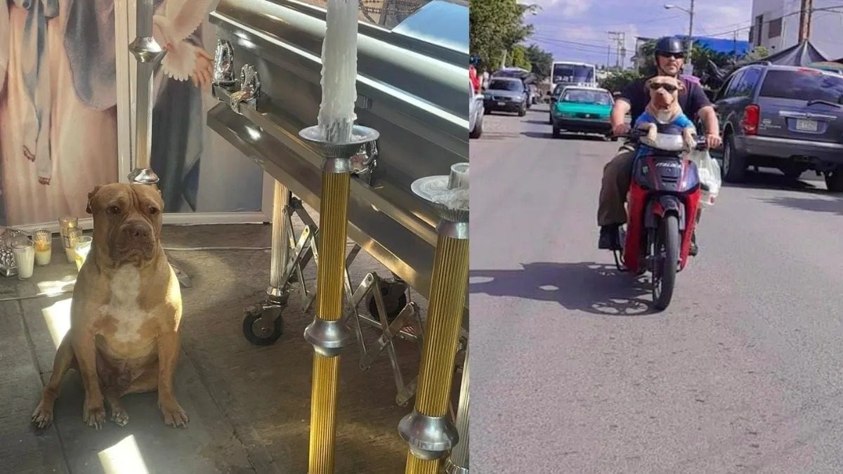 Roko y Chema: Una Amistad Inquebrantable Más Allá de la Vida