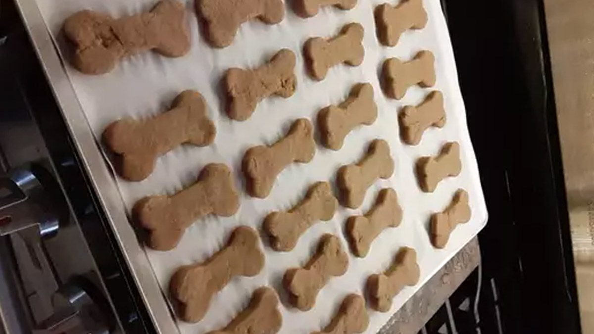 Prepara galletas para perros paso a paso