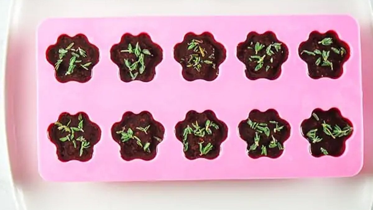 ¿Cómo Hacer Golosinas Congeladas para Perros con Arándanos?