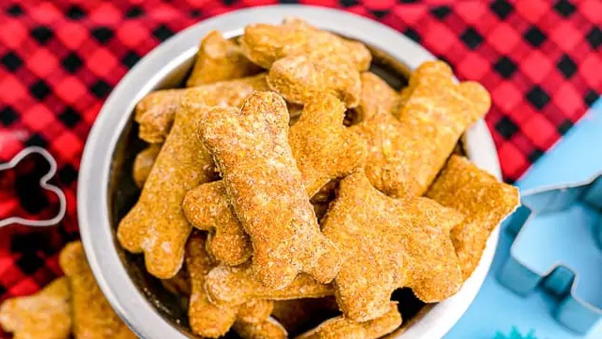¿Cómo Hacer Golosinas de Calabaza para Perros?