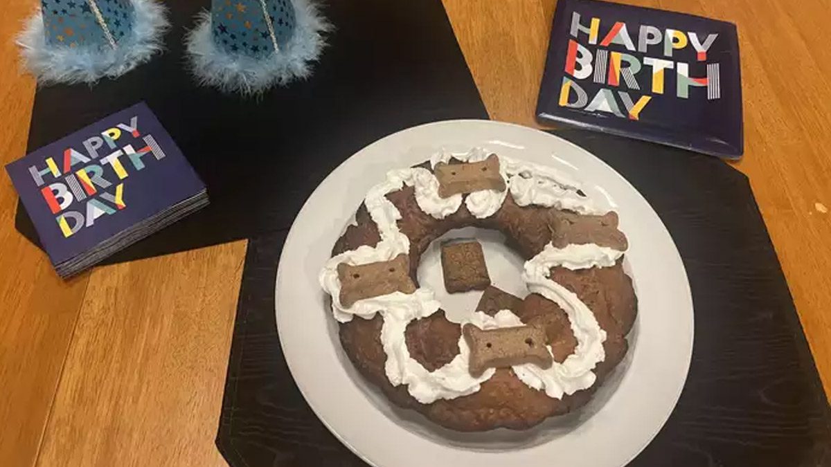 Cómo hacer un pastel de cumpleaños para perros