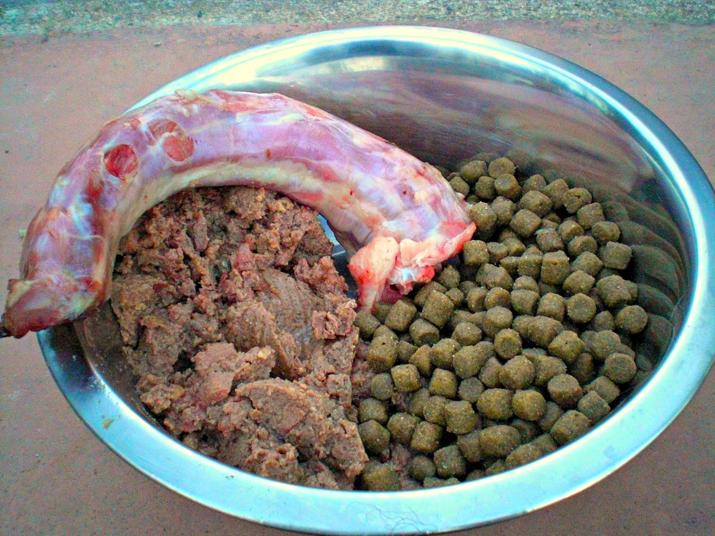 Ejemplos de distintos tipos de alimento para perros