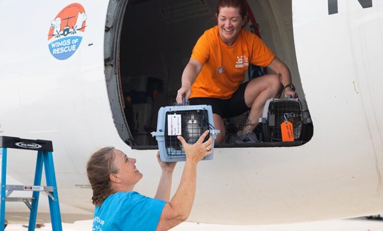Voluntarios descargan un transportador con un gato evacuado desde Texas después de las inundaciones