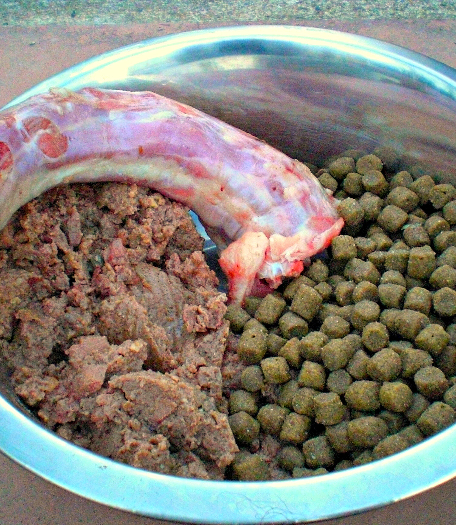Distintos tipos de alimento para perros, seco, húmedo y crudo