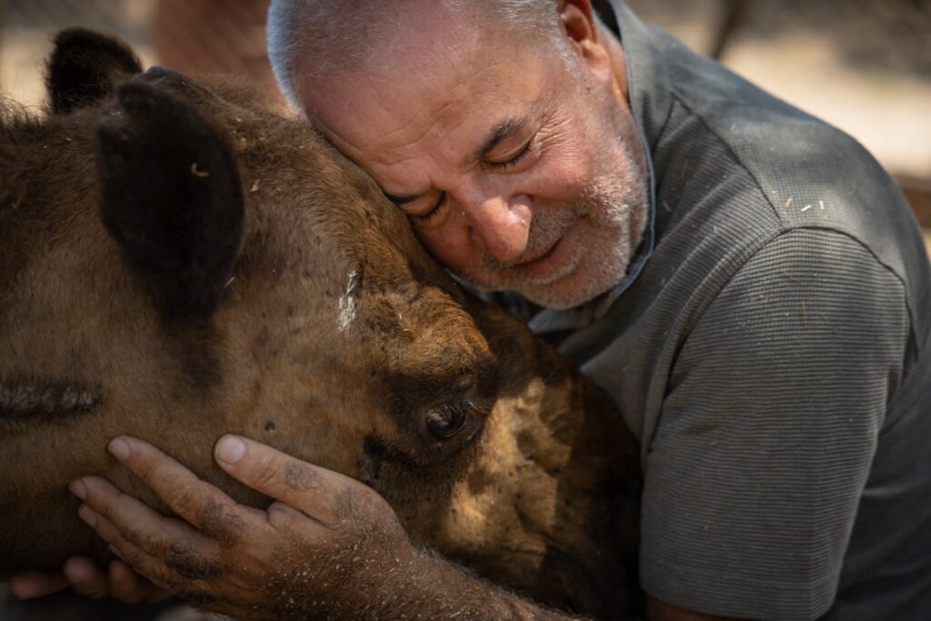 Houssein Hamze abraza a una camella protegida por Mashala Shelter en el sur de Líbano