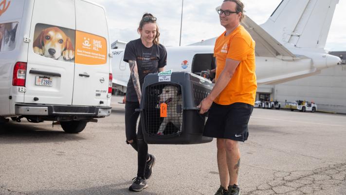 Rescatistas transportan una jaula con un perro evacuado de un refugio de Texas