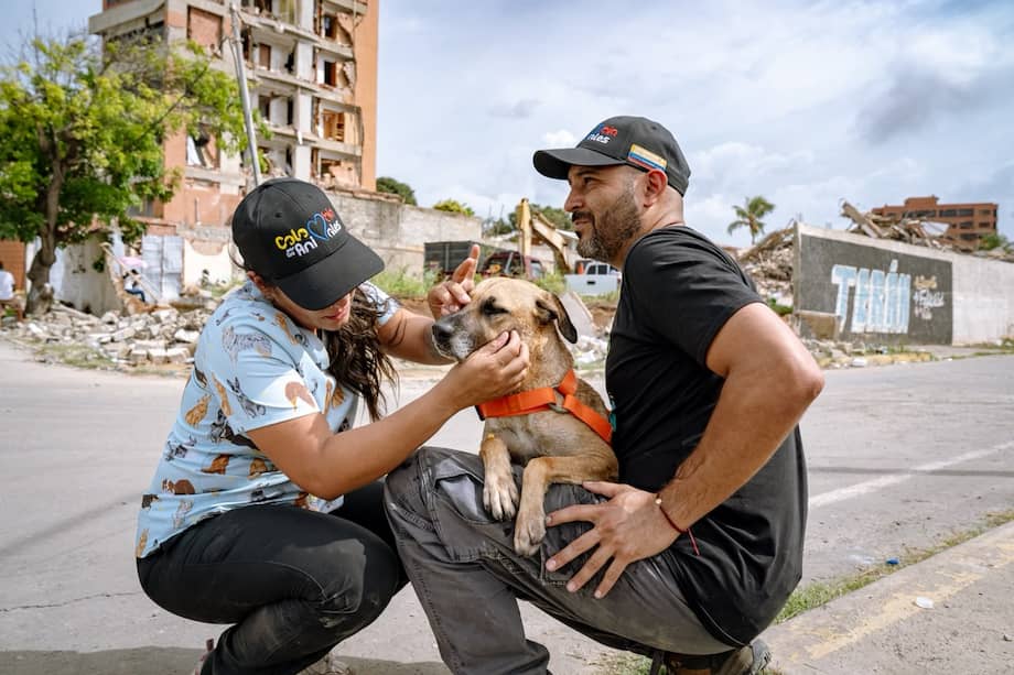 Voluntarios examinan y consuelan a un perro frente a edificios dañados en Venezuela