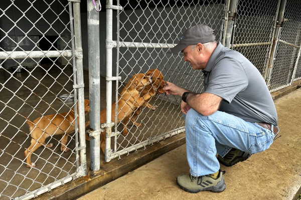 Responsable de un refugio consuela a varios cachorros rescatados cerca de Tupelo, Misisipi
